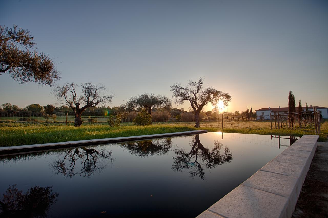 Villa Quinta Dos Carvalhos à Castelo Branco  Extérieur photo